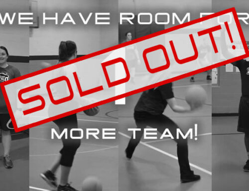 CO-ED DODGEBALL STARTS THIS FRIDAY (SOLD OUT!)